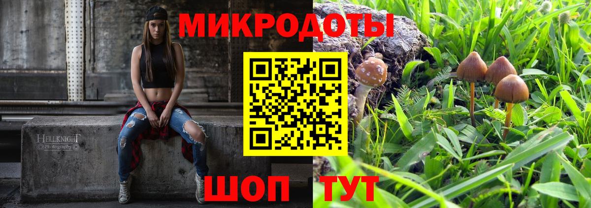 Галлюциногенные грибы MAGIC MUSHROOMS Златоуст