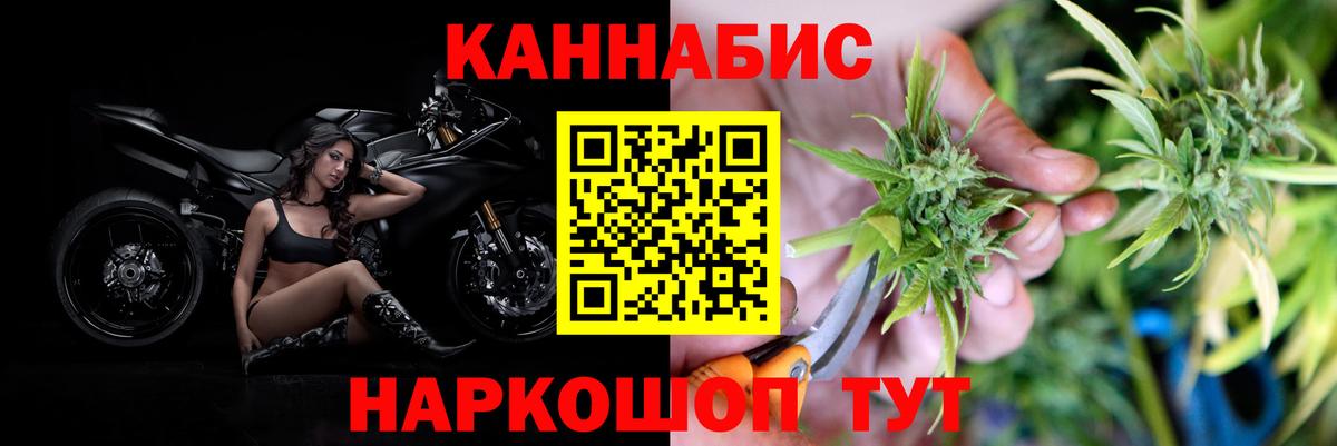 Конопля гибрид Златоуст